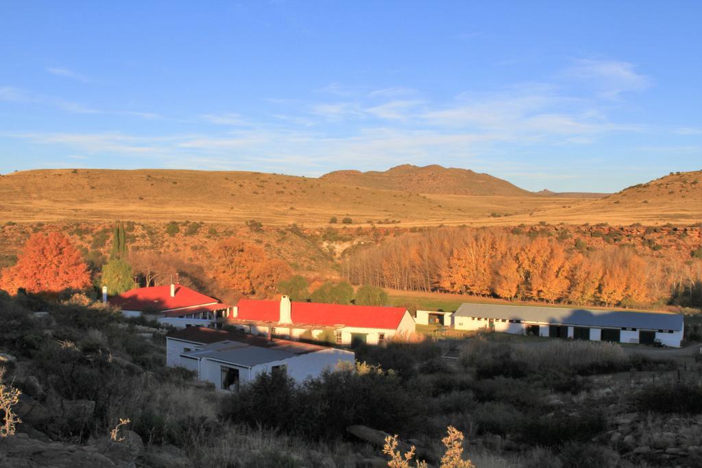 Ganora Guest Farm, Camping And Excursions Nieu-Bethesda Exterior photo